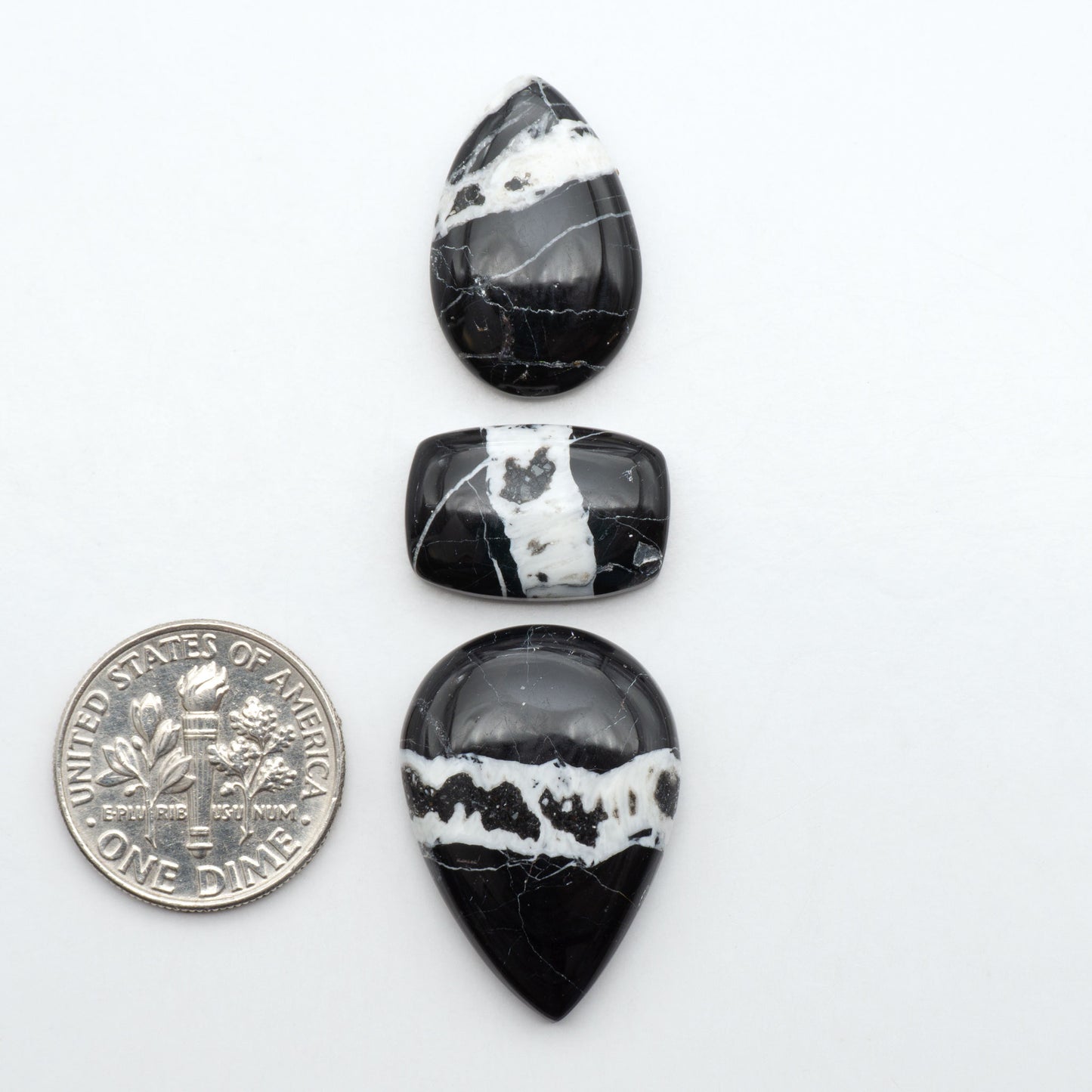 White Buffalo stone cabochons, white stone with black matrix, polished stones on a white background, with a US dime for scale