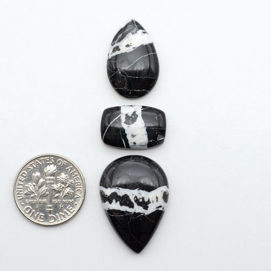 White Buffalo stone cabochons, white stone with black matrix, polished stones on a white background, with a US dime for scale