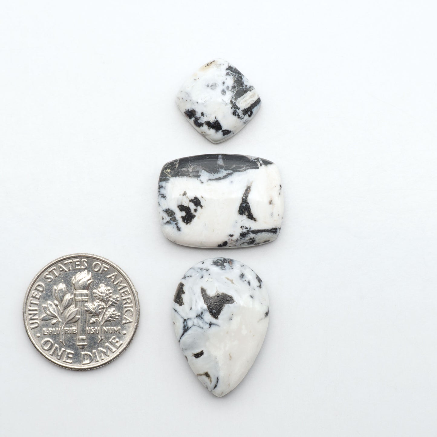 White Buffalo stone cabochons, white stone with black matrix, polished stones on a white background, with a US dime for scale