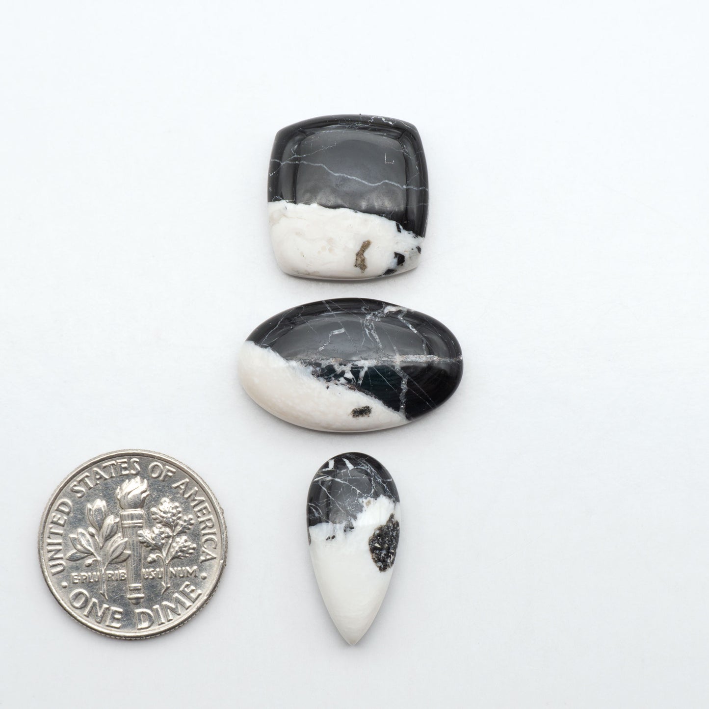 White Buffalo stone cabochons, white stone with black matrix, polished stones on a white background, with a US dime for scale