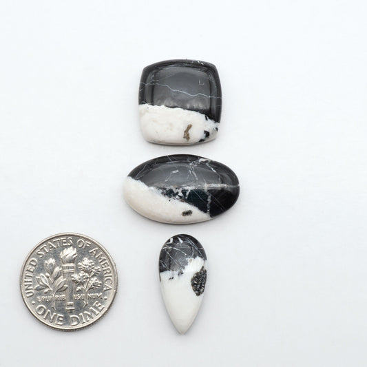 White Buffalo stone cabochons, white stone with black matrix, polished stones on a white background, with a US dime for scale