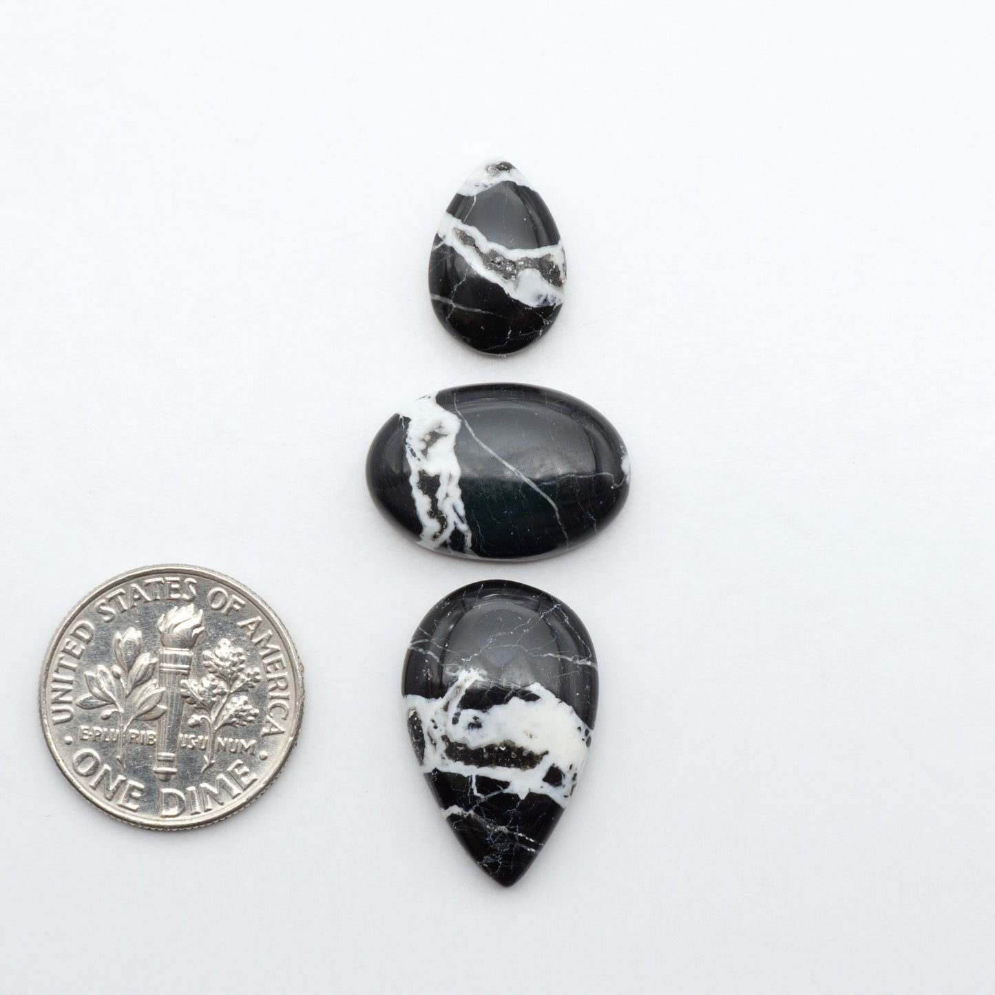 White Buffalo stone cabochons, white stone with black matrix, polished stones on a white background, with a US dime for scale