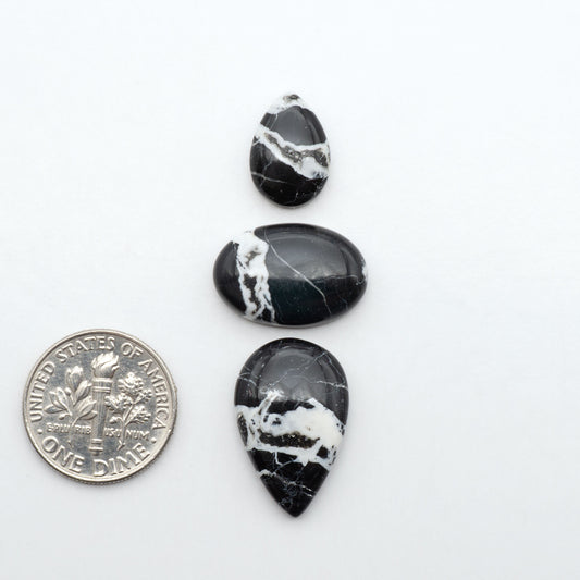 White Buffalo stone cabochons, white stone with black matrix, polished stones on a white background, with a US dime for scale