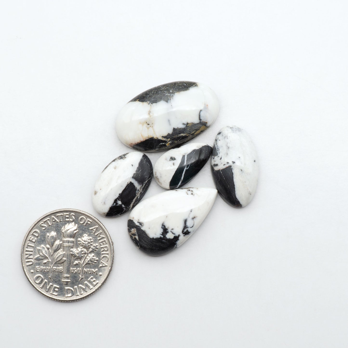 White Buffalo stone cabochons, white stone with black matrix, polished stones on a white background, with a US dime for scale