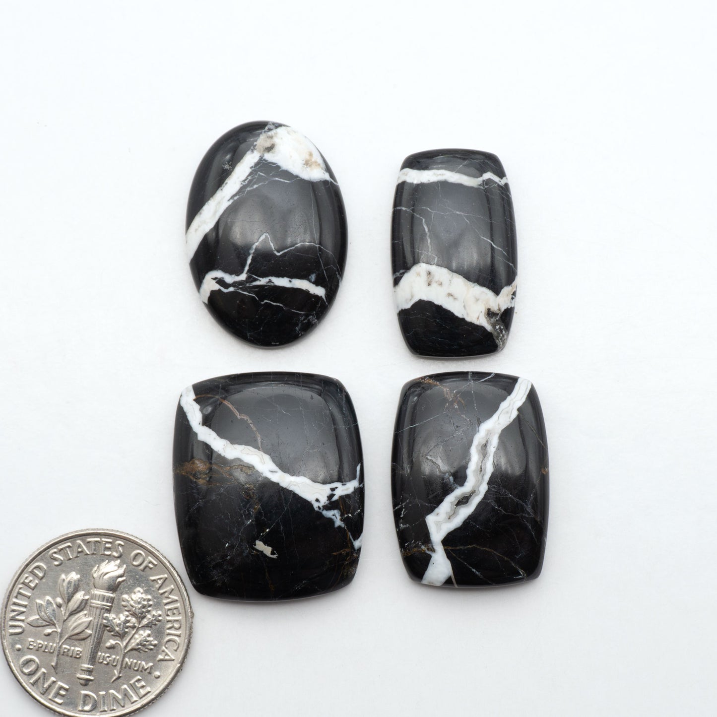 White Buffalo stone cabochons, white stone with black matrix, polished stones on a white background, with a US dime for scale