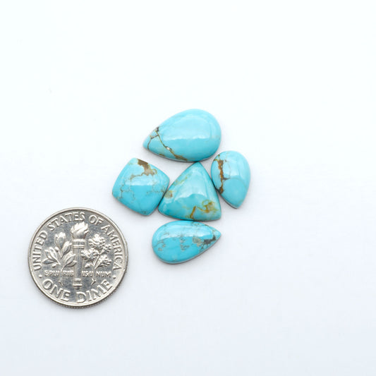 Number 8 Turquoise cabochons, blue and green color with brown matrix, polished stones on a white background, with a US dime for scale