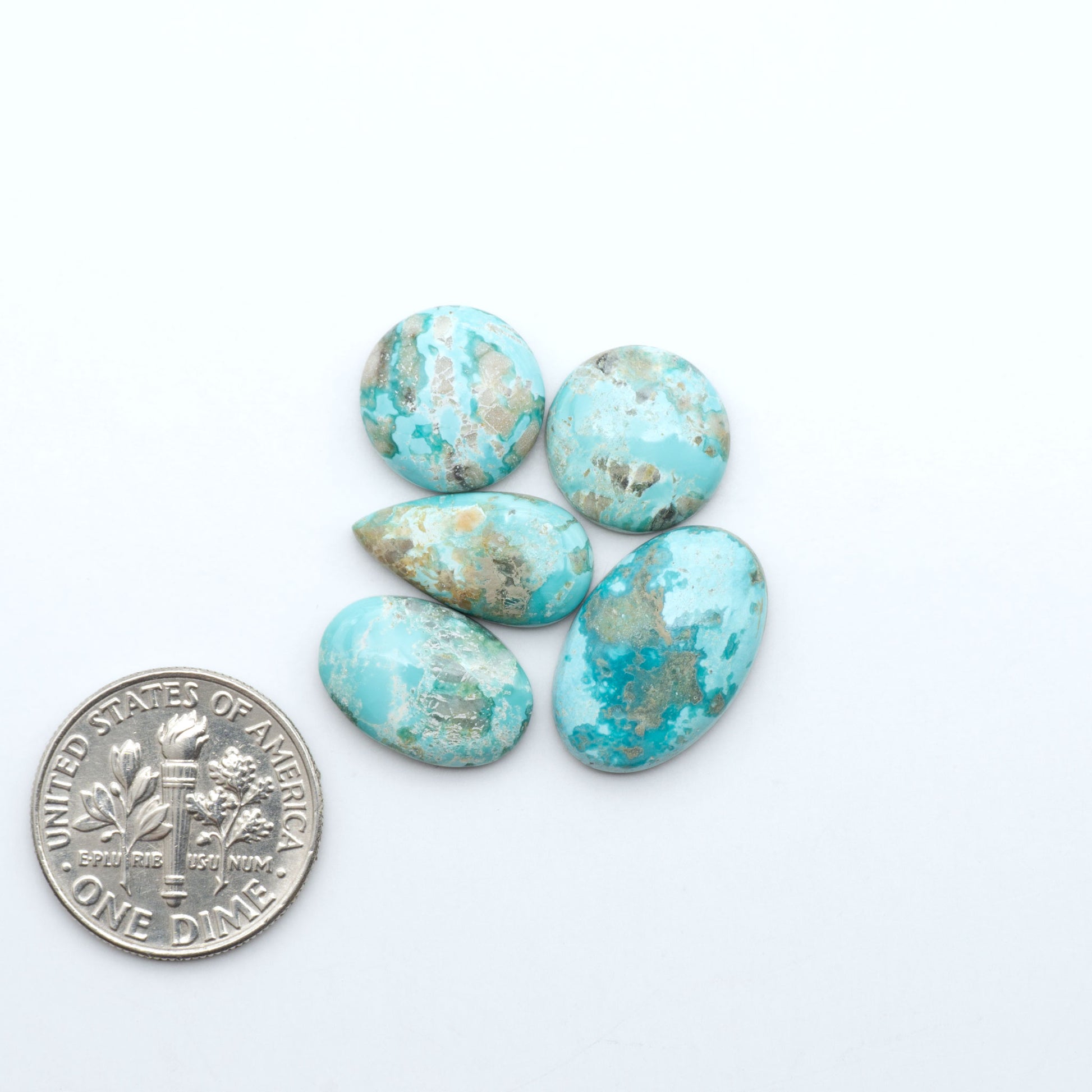 Fox Turquoise cabochons, polished gemstones with natural matrix on a white background, with a US dime for scale