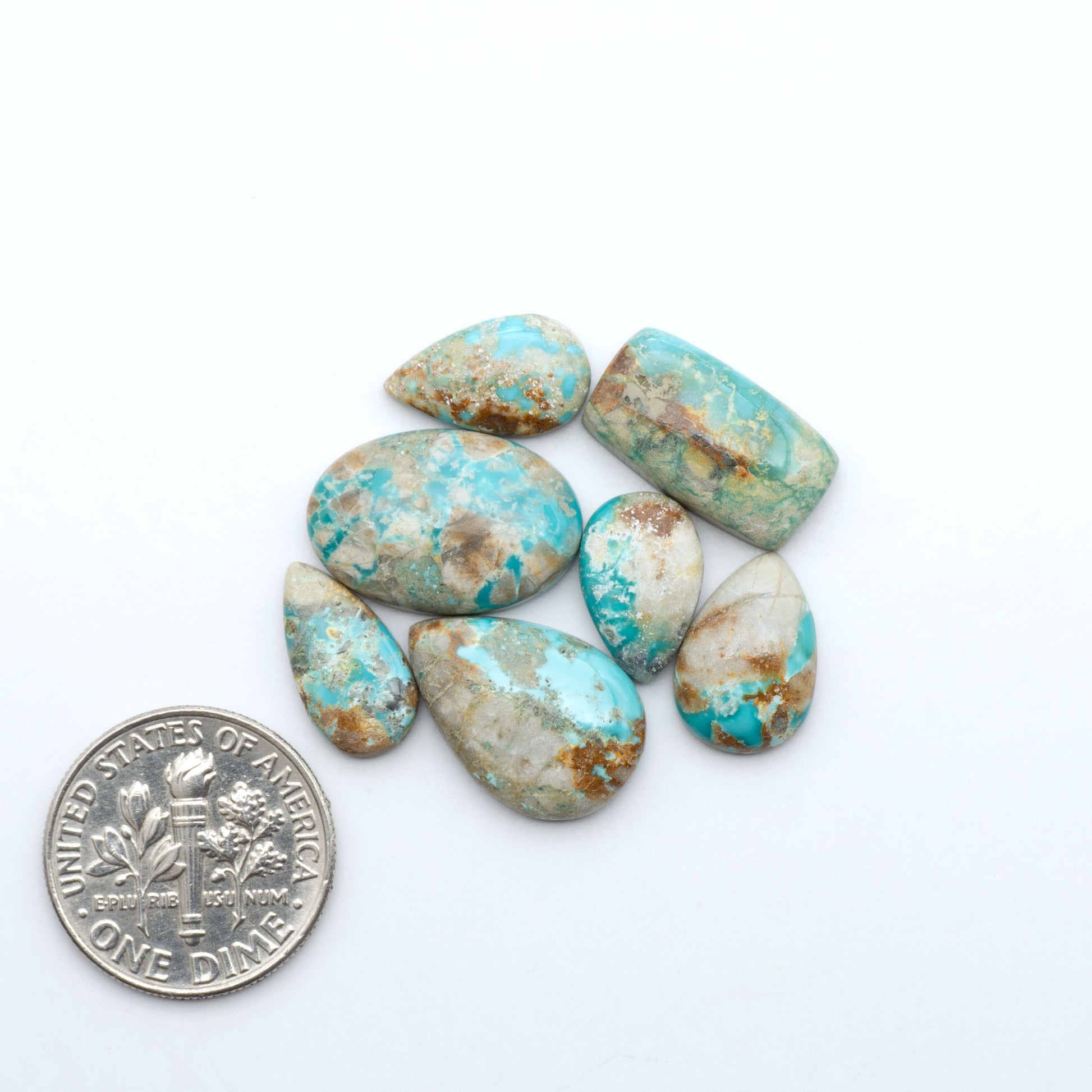 Fox Turquoise cabochons, polished gemstones with natural matrix on a white background, with a US dime for scale