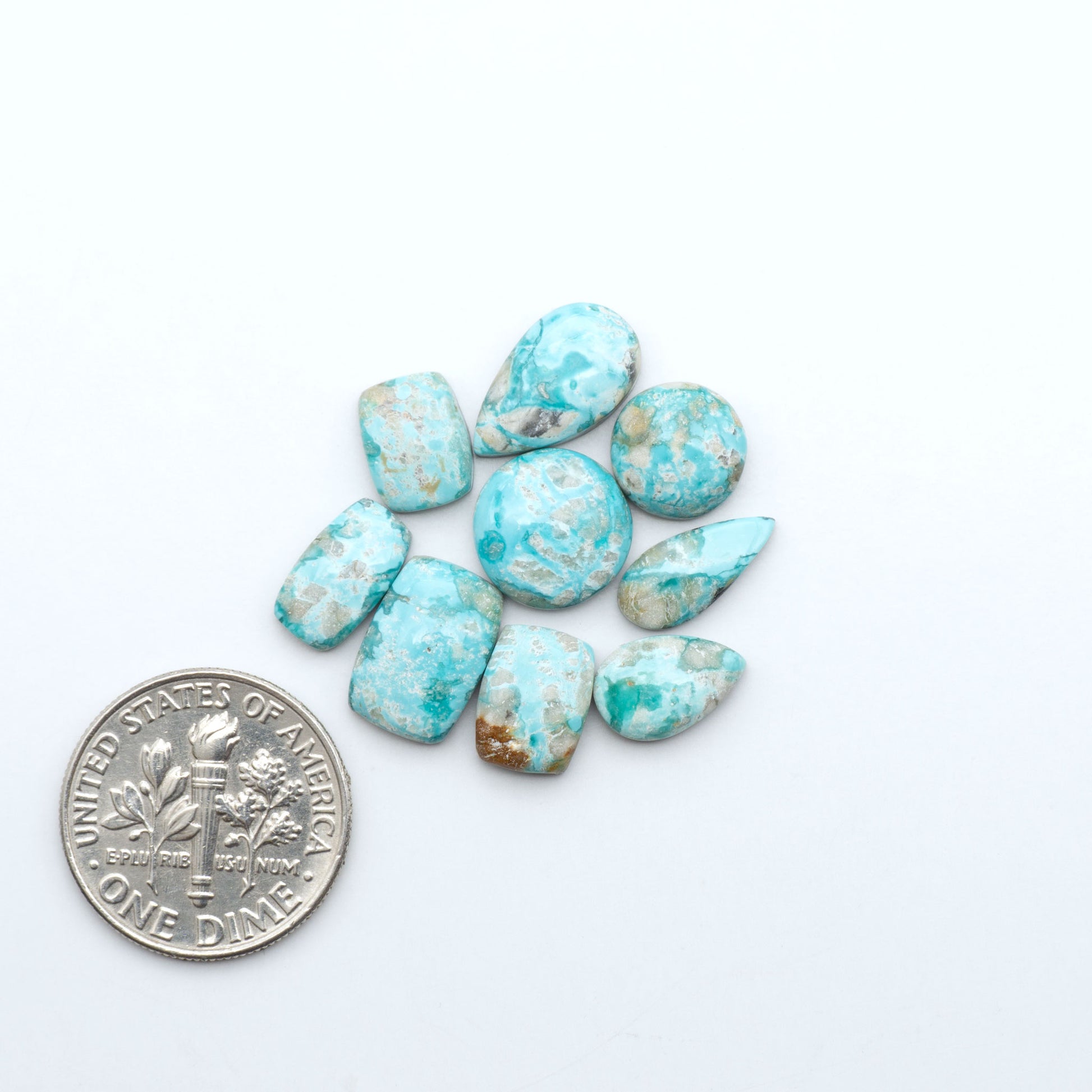 Fox Turquoise cabochons, polished gemstones with natural matrix on a white background, with a US dime for scale