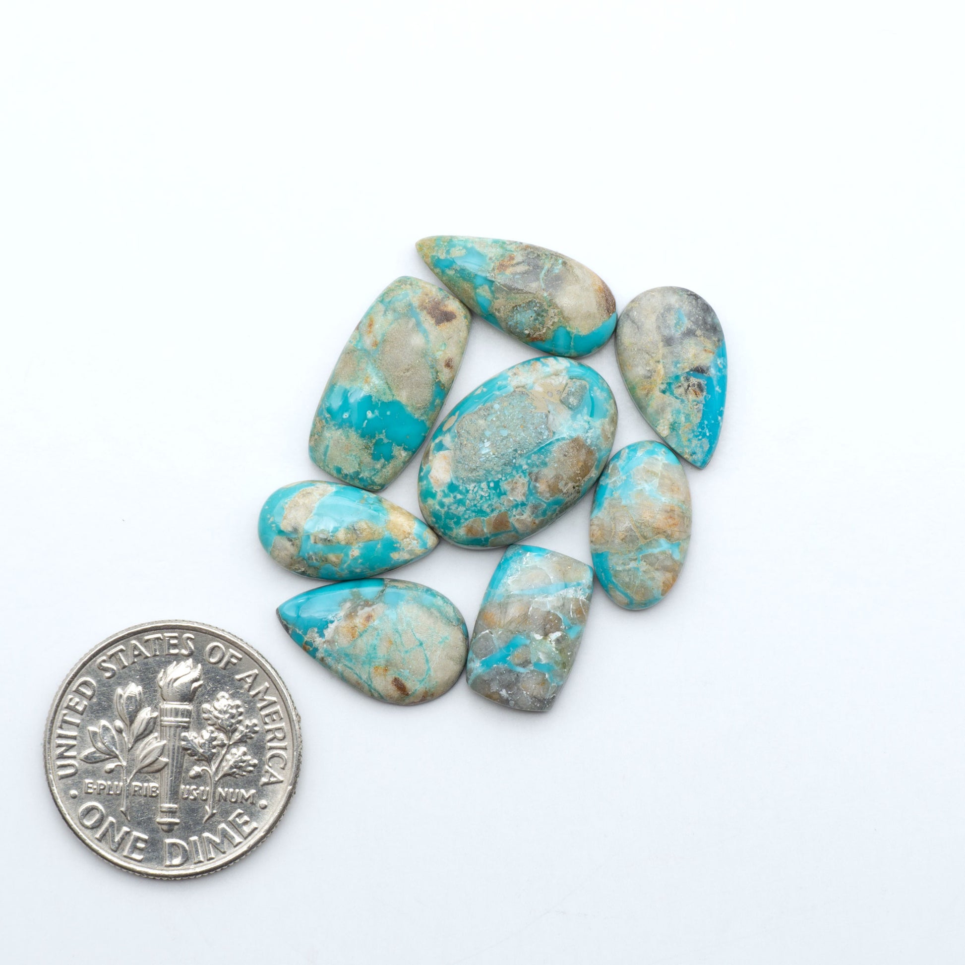 Fox Turquoise cabochons, polished gemstones with natural matrix on a white background, with a US dime for scale