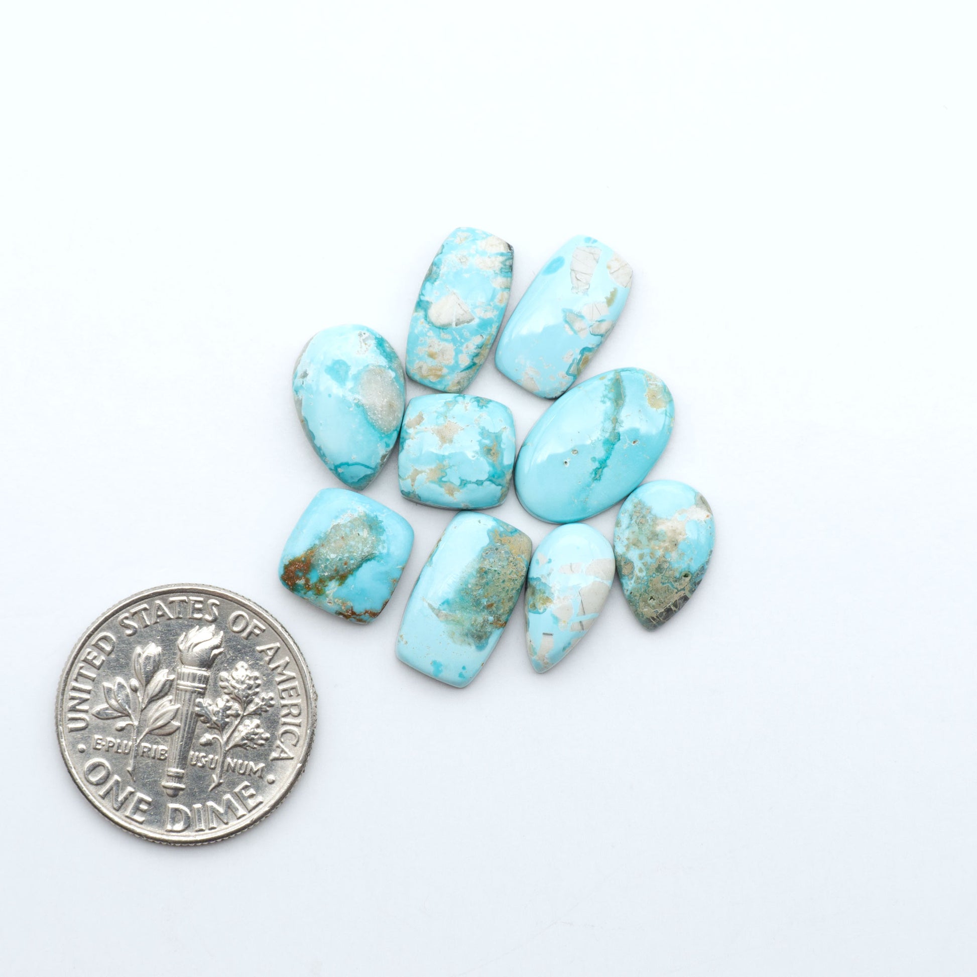 Fox Turquoise cabochons, polished gemstones with natural matrix on a white background, with a US dime for scale