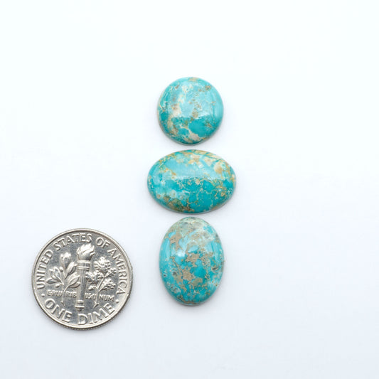 Fox Turquoise cabochons, polished gemstones with natural matrix on a white background, with a US dime for scale