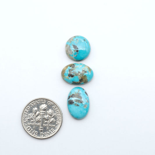 Fox Turquoise cabochons, polished gemstones with natural matrix on a white background, with a US dime for scale
