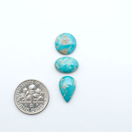 Fox Turquoise cabochons, polished gemstones with natural matrix on a white background, with a US dime for scale