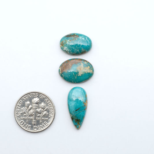 Fox Turquoise cabochons, polished gemstones with natural matrix on a white background, with a US dime for scale