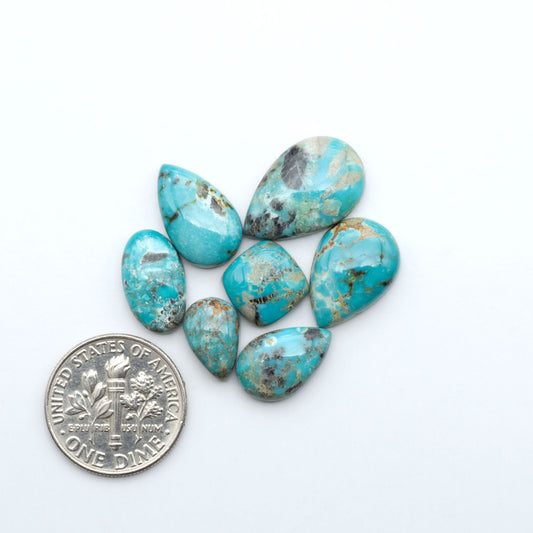 Fox Turquoise cabochons, polished gemstones with natural matrix on a white background, with a US dime for scale