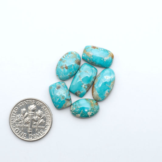 Fox Turquoise cabochons, polished gemstones with natural matrix on a white background, with a US dime for scale