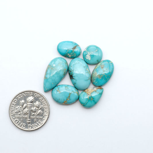 Fox Turquoise cabochons, polished gemstones with natural matrix on a white background, with a US dime for scale
