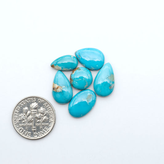 Fox Turquoise cabochons, polished gemstones with natural matrix on a white background, with a US dime for scale