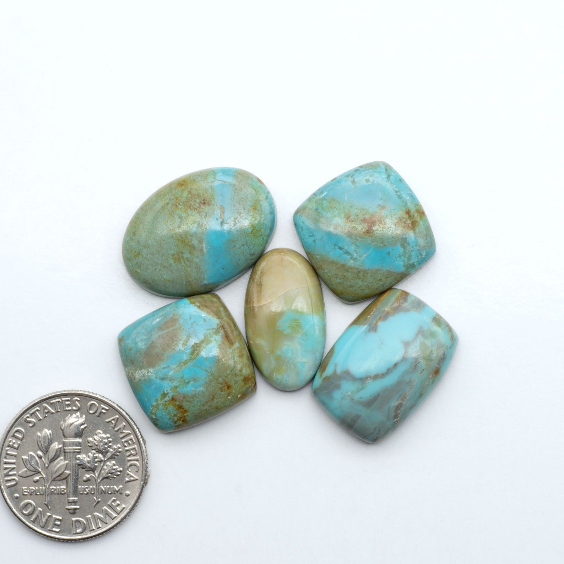 Number 8 Turquoise cabochons, blue and green color with brown matrix, polished stones on a white background, with a US dime for scale