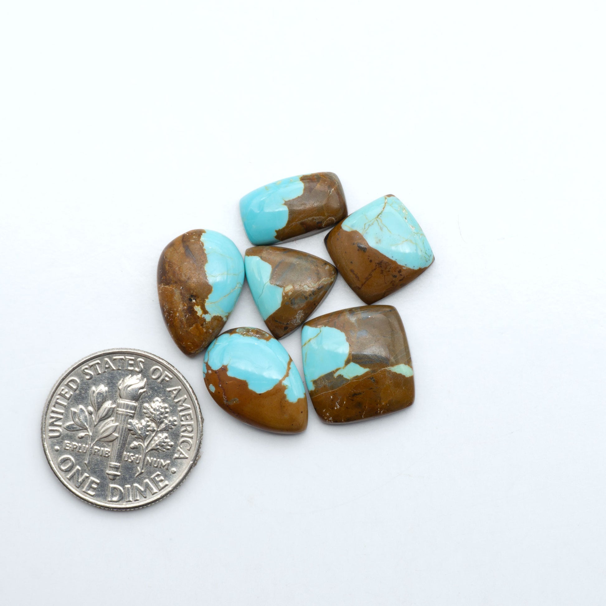 Number 8 Turquoise cabochons, blue and green color with brown matrix, polished stones on a white background, with a US dime for scale