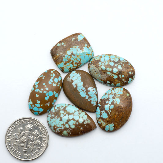 Number 8 Turquoise cabochons, blue and green color with brown matrix, polished stones on a white background, with a US dime for scale