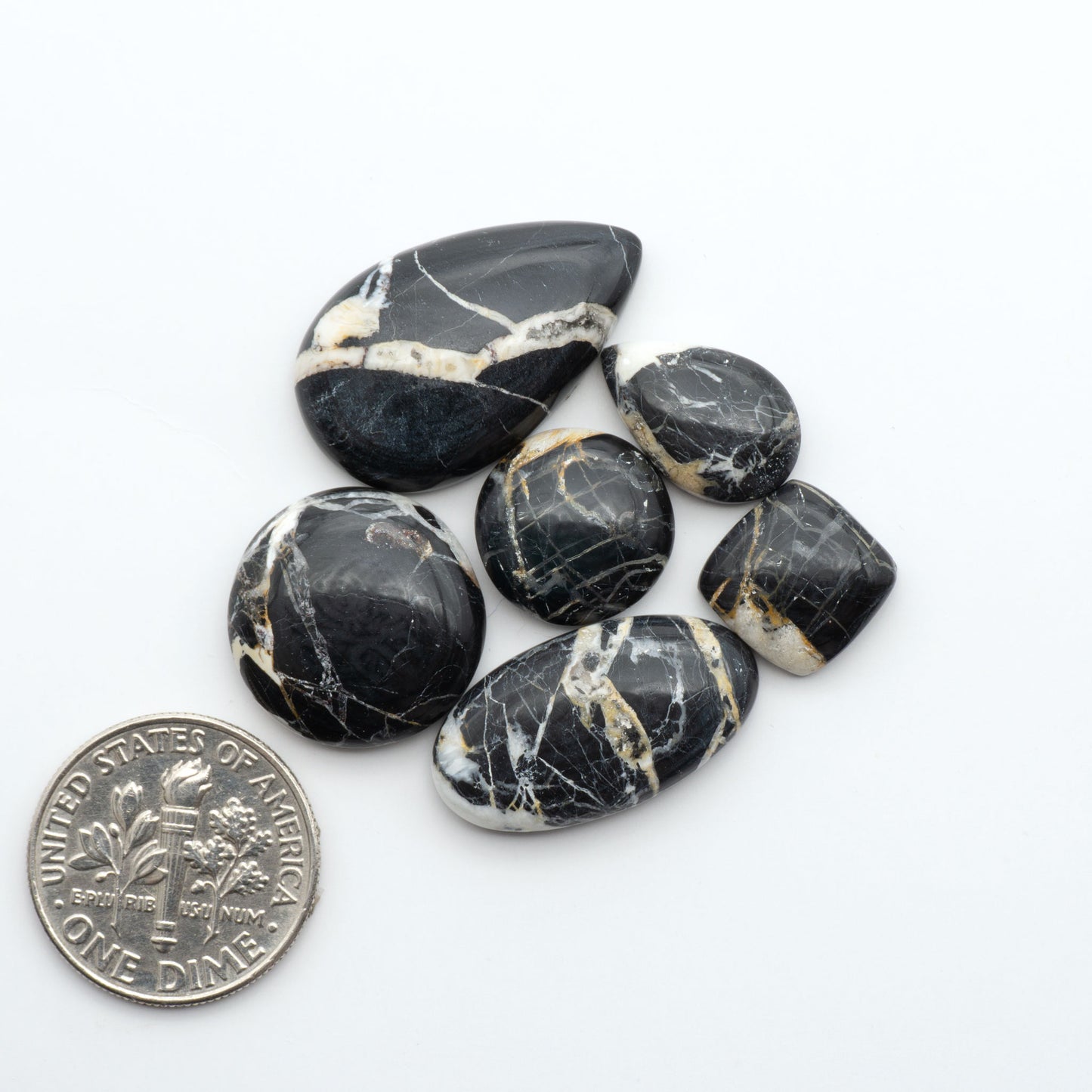 White Buffalo stone cabochons, white stone with black matrix, polished stones on a white background, with a US dime for scale