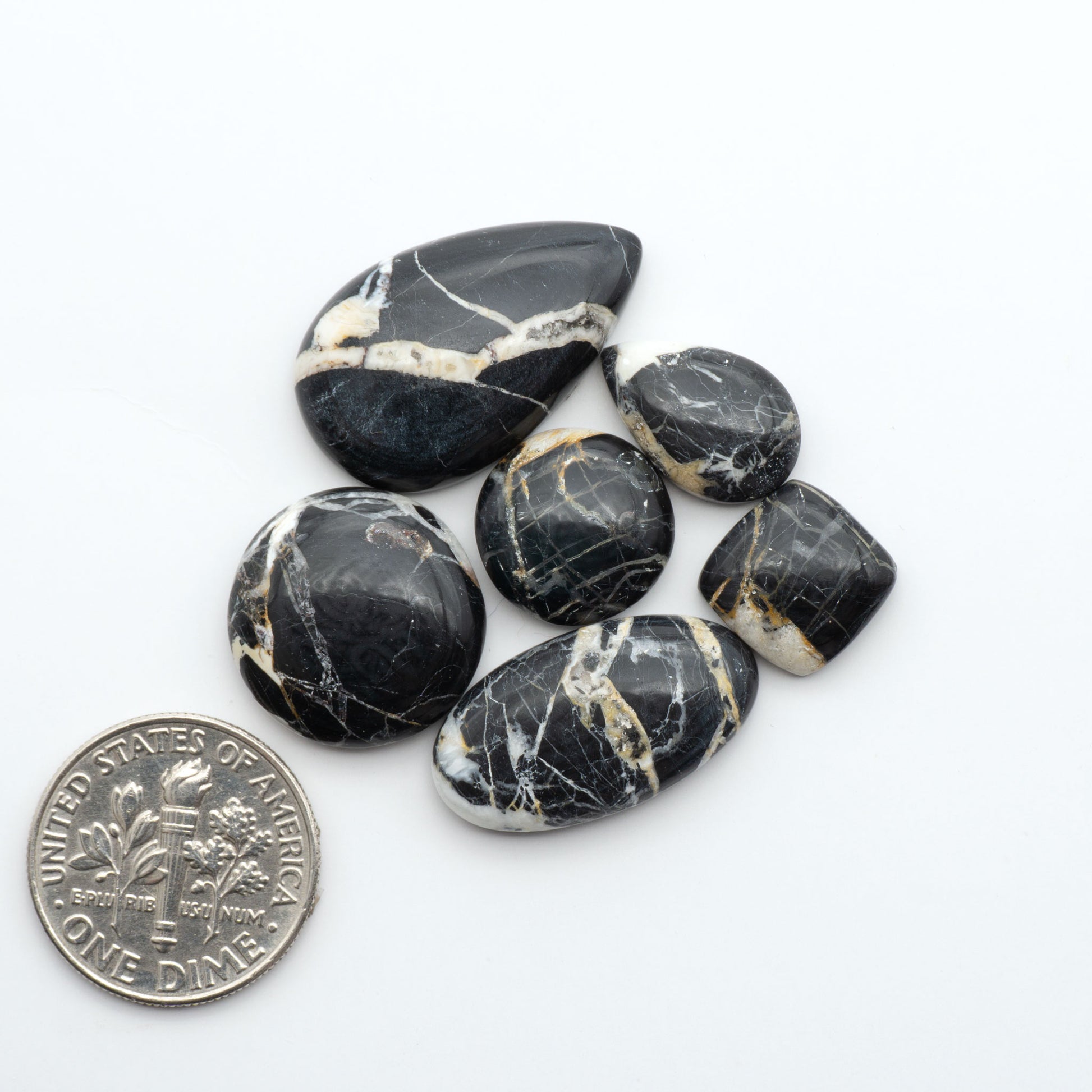 White Buffalo stone cabochons, white stone with black matrix, polished stones on a white background, with a US dime for scale