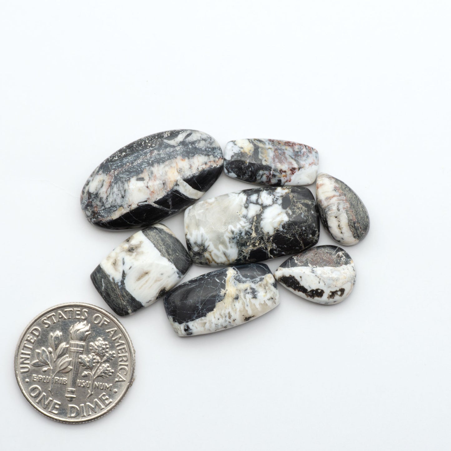 White Buffalo stone cabochons, white stone with black matrix, polished stones on a white background, with a US dime for scale