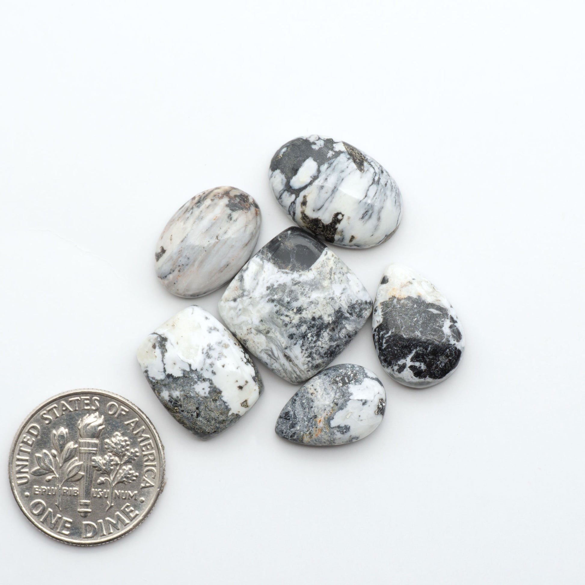 White Buffalo stone cabochons, white stone with black matrix, polished stones on a white background, with a US dime for scale