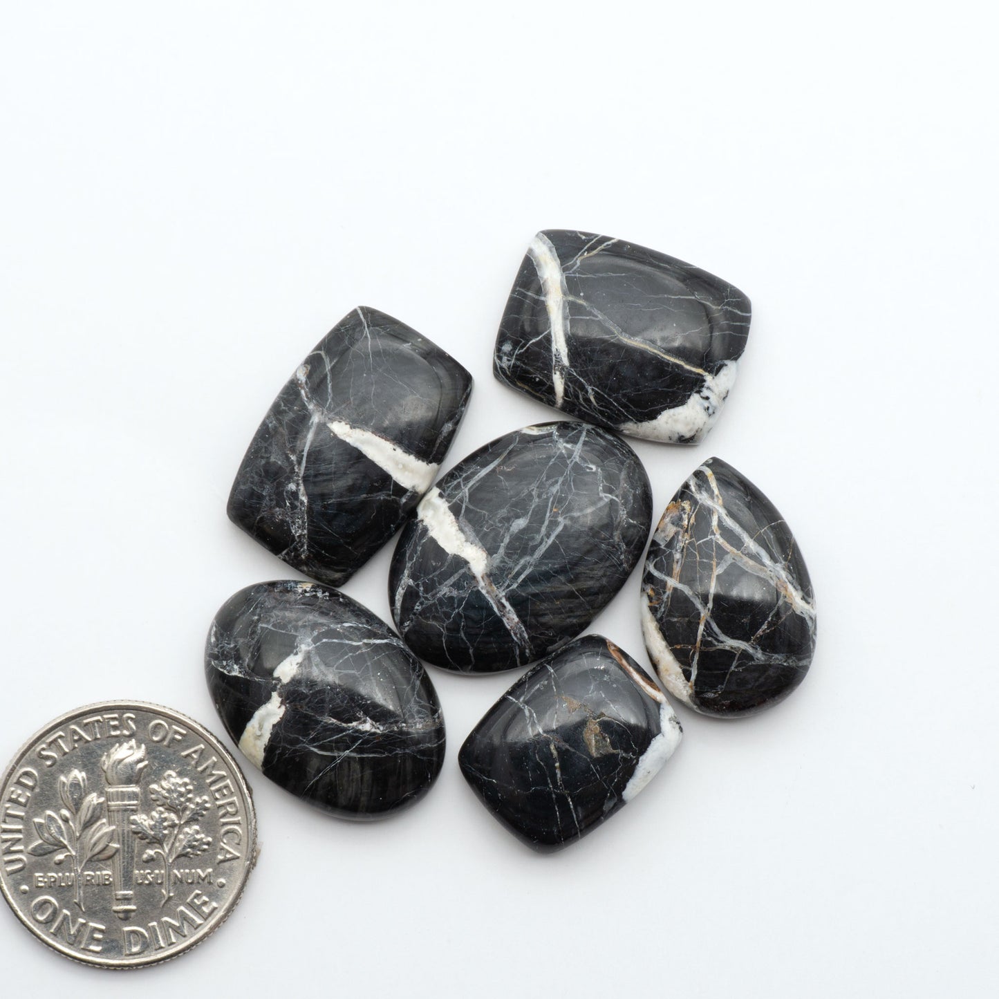 White Buffalo stone cabochons, white stone with black matrix, polished stones on a white background, with a US dime for scale