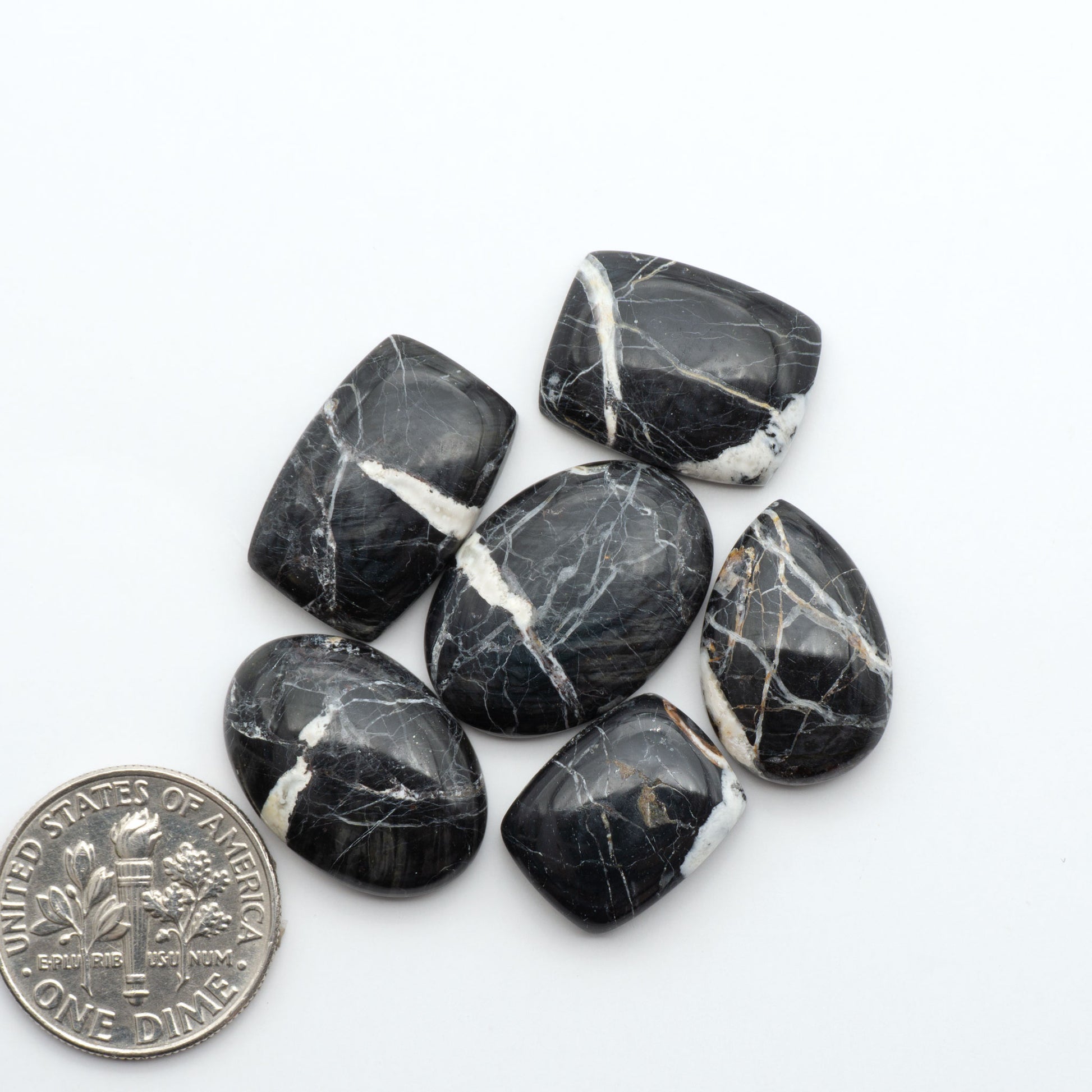 White Buffalo stone cabochons, white stone with black matrix, polished stones on a white background, with a US dime for scale
