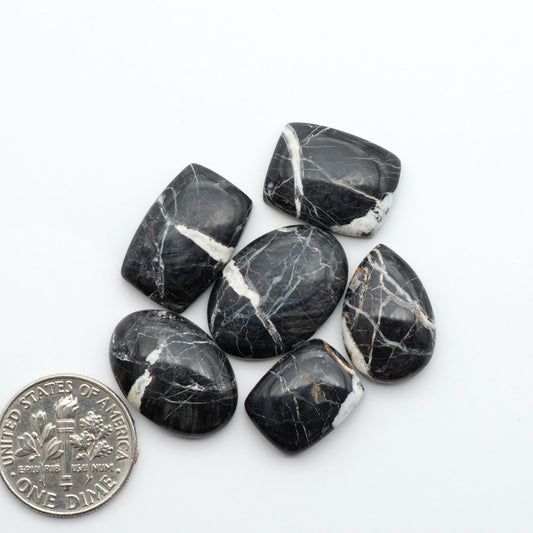 White Buffalo stone cabochons, white stone with black matrix, polished stones on a white background, with a US dime for scale