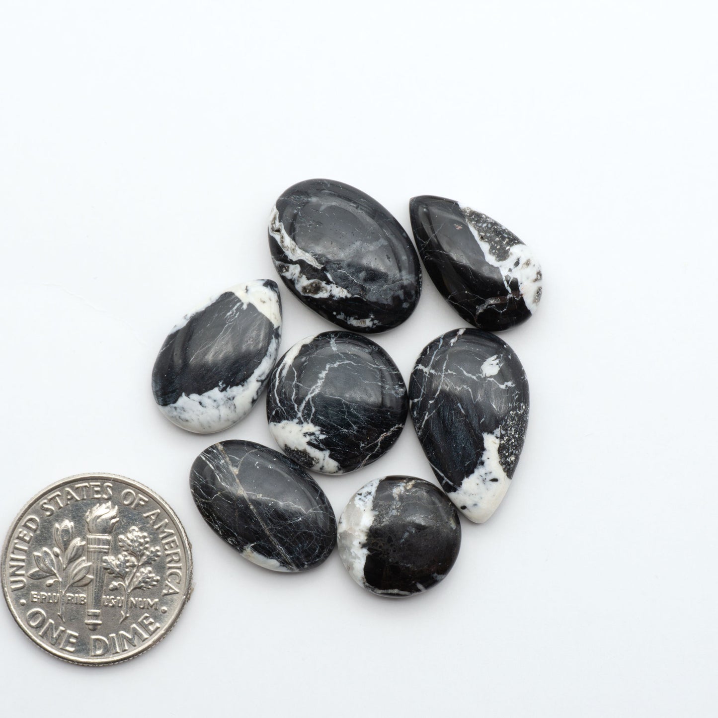 White Buffalo stone cabochons, white stone with black matrix, polished stones on a white background, with a US dime for scale