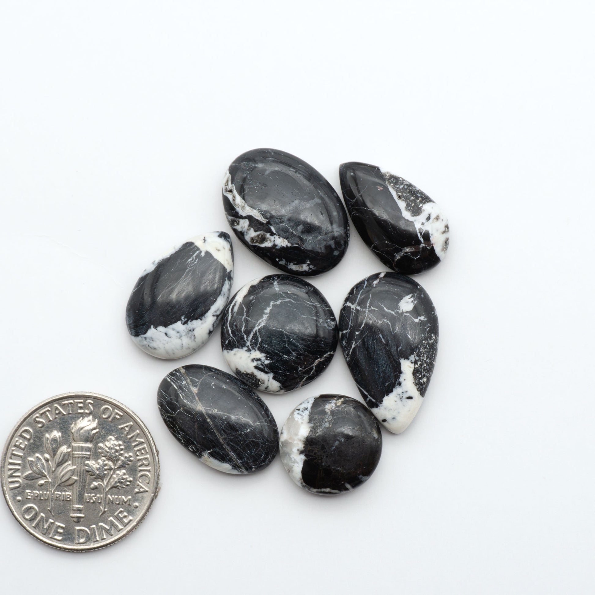 White Buffalo stone cabochons, white stone with black matrix, polished stones on a white background, with a US dime for scale