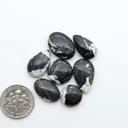White Buffalo stone cabochons, white stone with black matrix, polished stones on a white background, with a US dime for scale