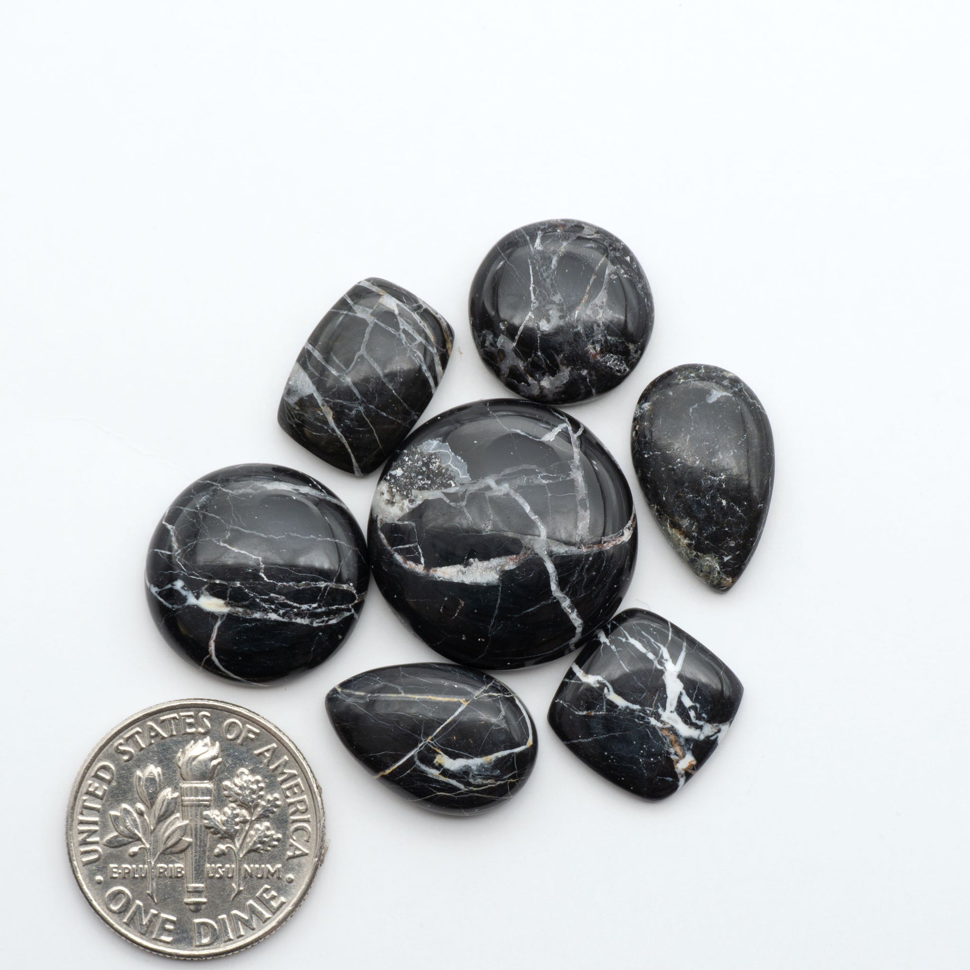 White Buffalo stone cabochons, white stone with black matrix, polished stones on a white background, with a US dime for scale
