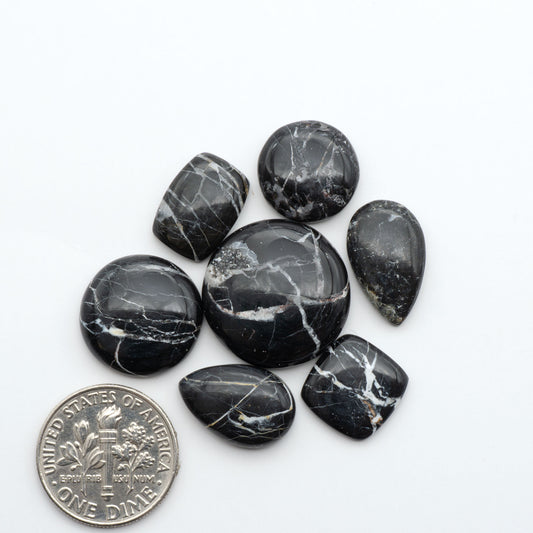 White Buffalo stone cabochons, white stone with black matrix, polished stones on a white background, with a US dime for scale