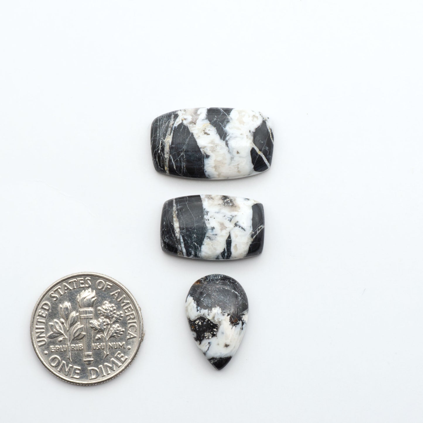 White Buffalo stone cabochons, white stone with black matrix, polished stones on a white background, with a US dime for scale
