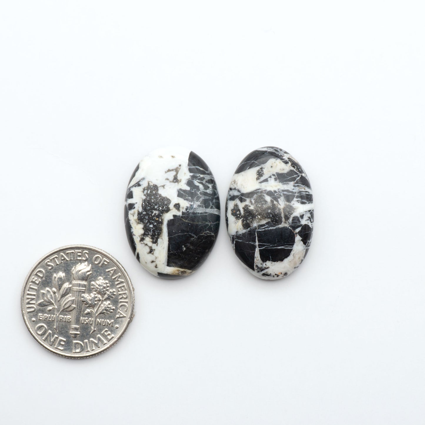 White Buffalo stone cabochons, white stone with black matrix, polished stones on a white background, with a US dime for scale
