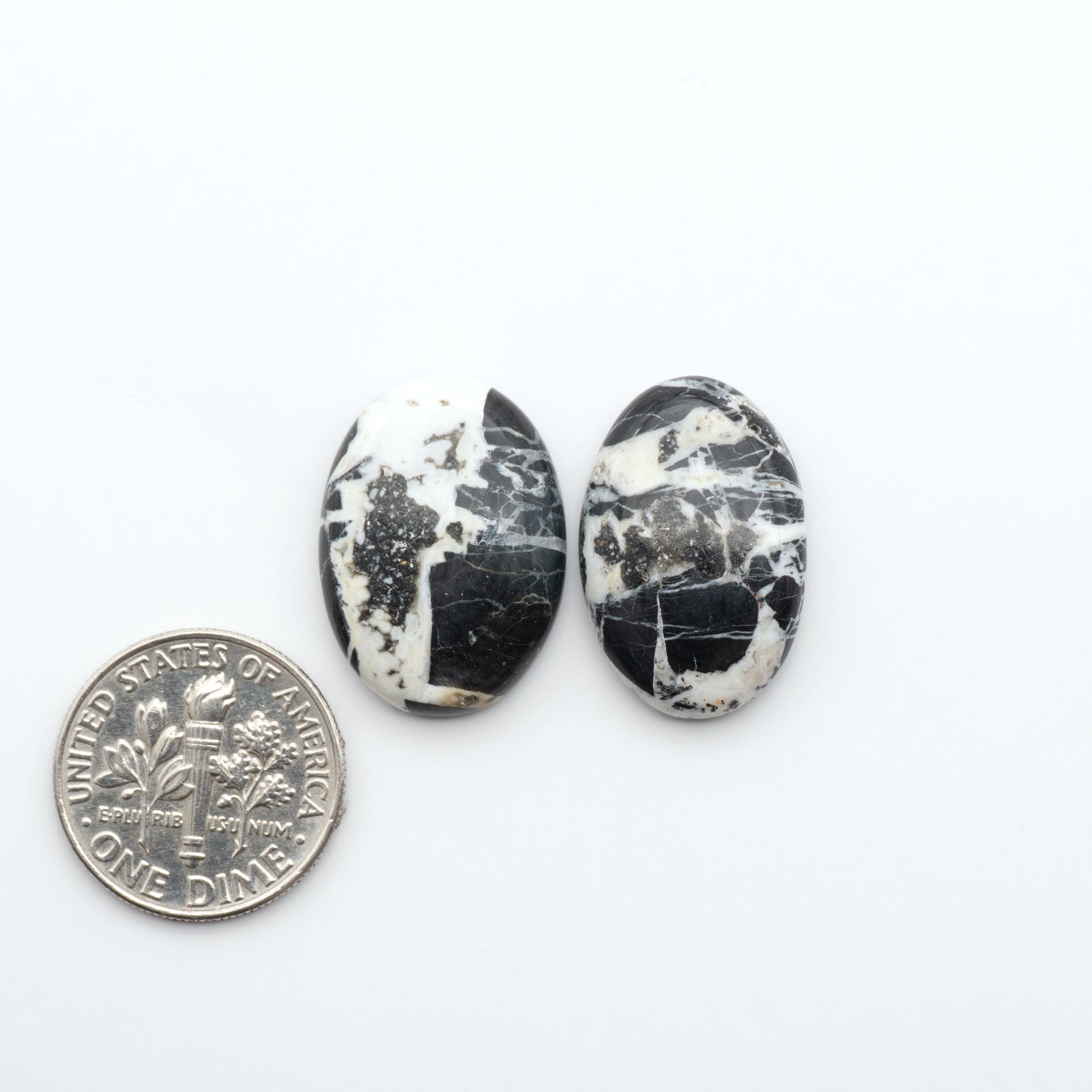 White Buffalo stone cabochons, white stone with black matrix, polished stones on a white background, with a US dime for scale