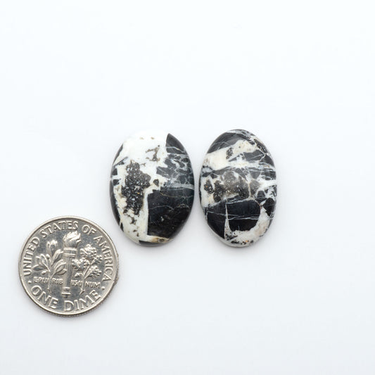 White Buffalo stone cabochons, white stone with black matrix, polished stones on a white background, with a US dime for scale