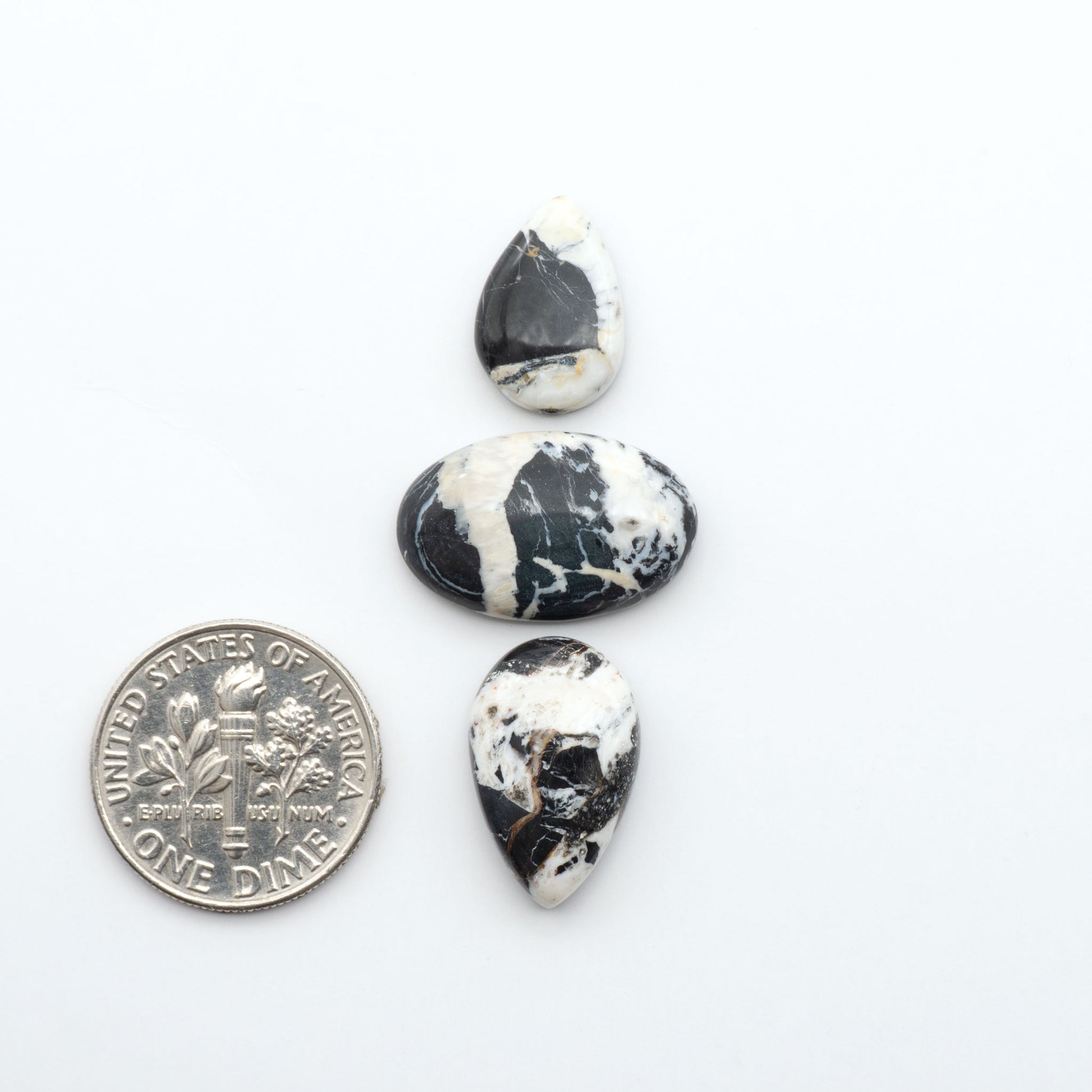White Buffalo stone cabochons, white stone with black matrix, polished stones on a white background, with a US dime for scale