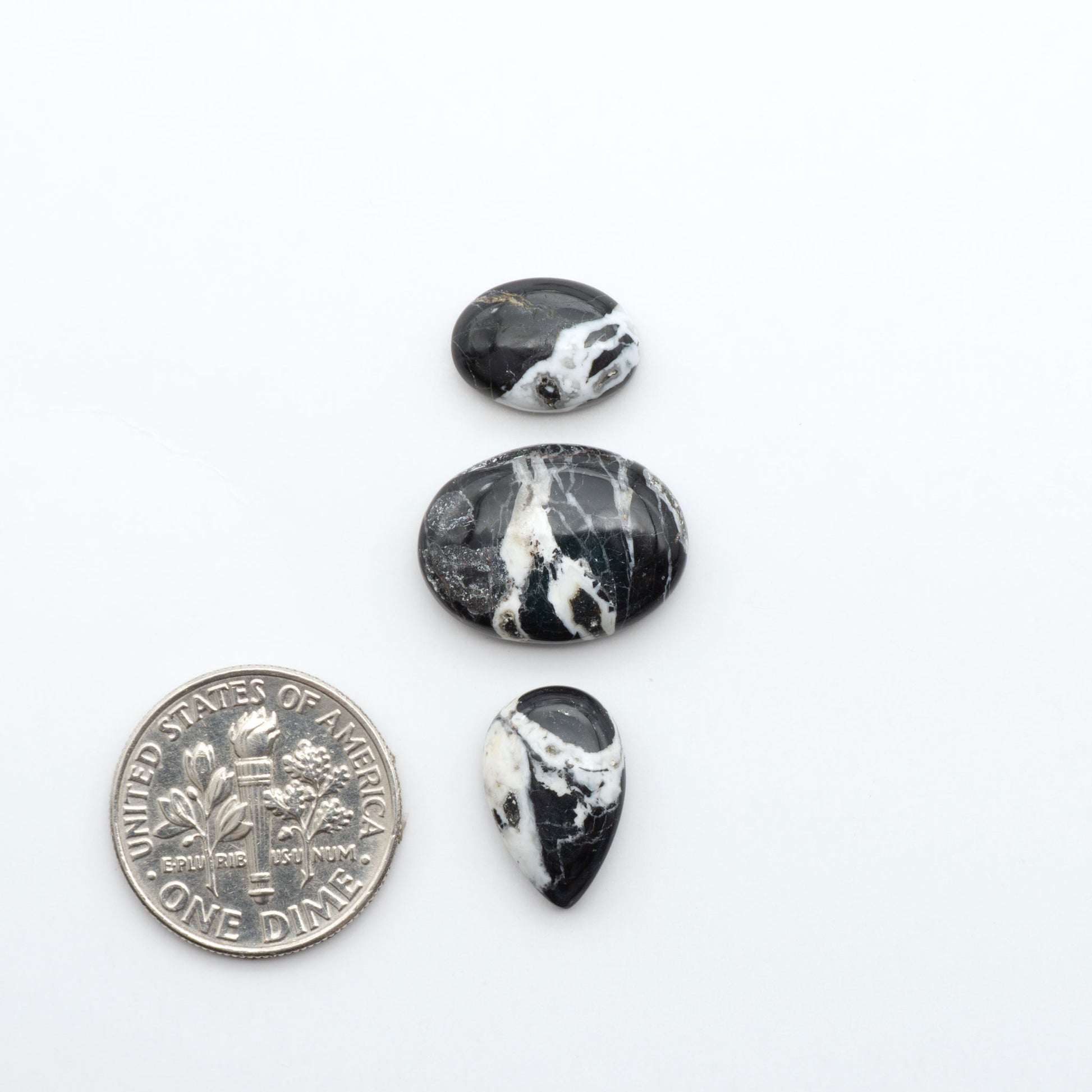 White Buffalo stone cabochons, white stone with black matrix, polished stones on a white background, with a US dime for scale