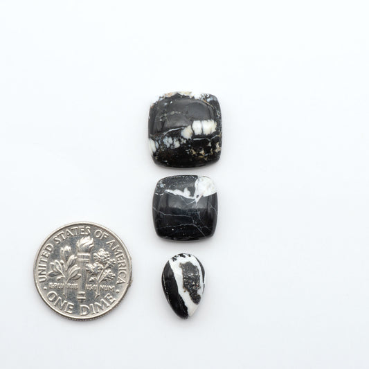 White Buffalo stone cabochons, white stone with black matrix, polished stones on a white background, with a US dime for scale