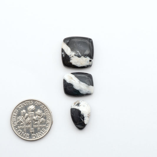 White Buffalo stone cabochons, white stone with black matrix, polished stones on a white background, with a US dime for scale