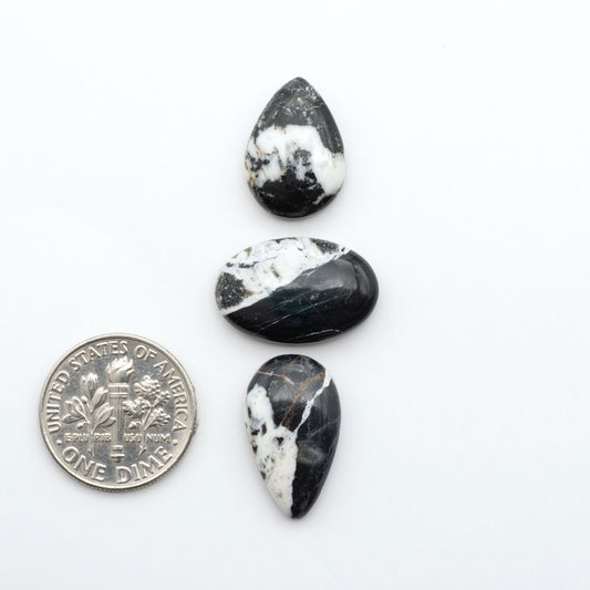 White Buffalo stone cabochons, white stone with black matrix, polished stones on a white background, with a US dime for scale