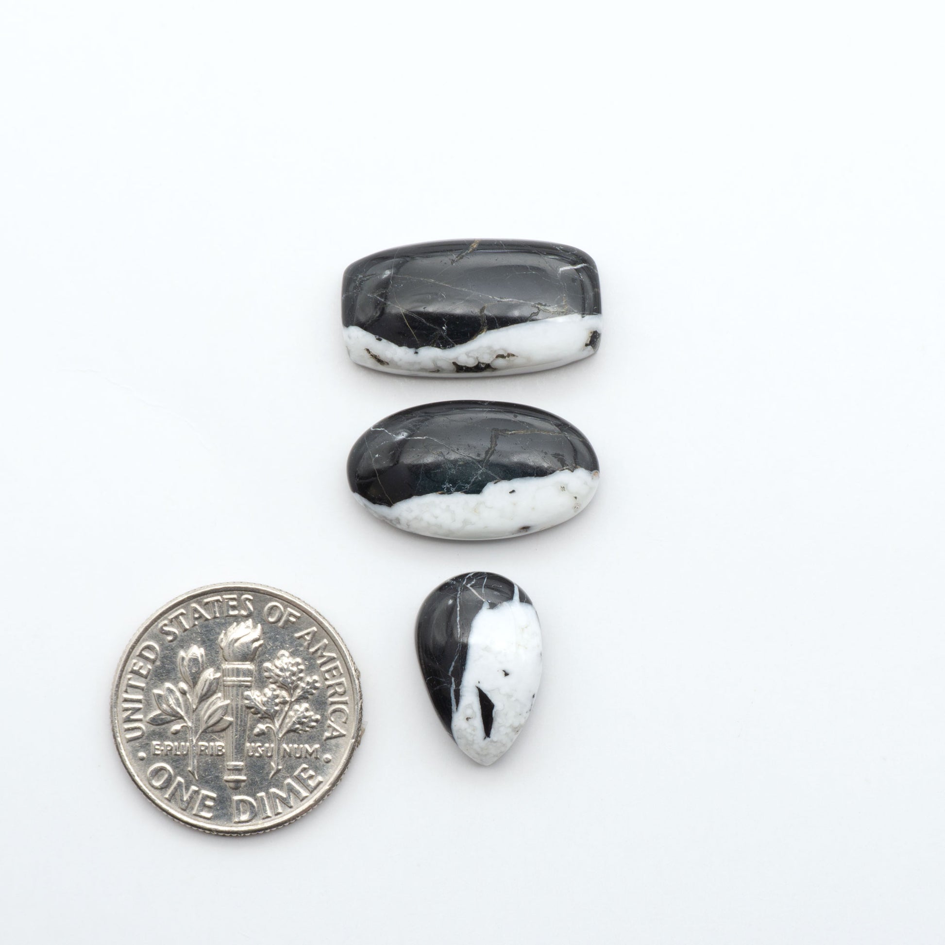 White Buffalo stone cabochons, white stone with black matrix, polished stones on a white background, with a US dime for scale