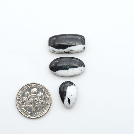 White Buffalo stone cabochons, white stone with black matrix, polished stones on a white background, with a US dime for scale