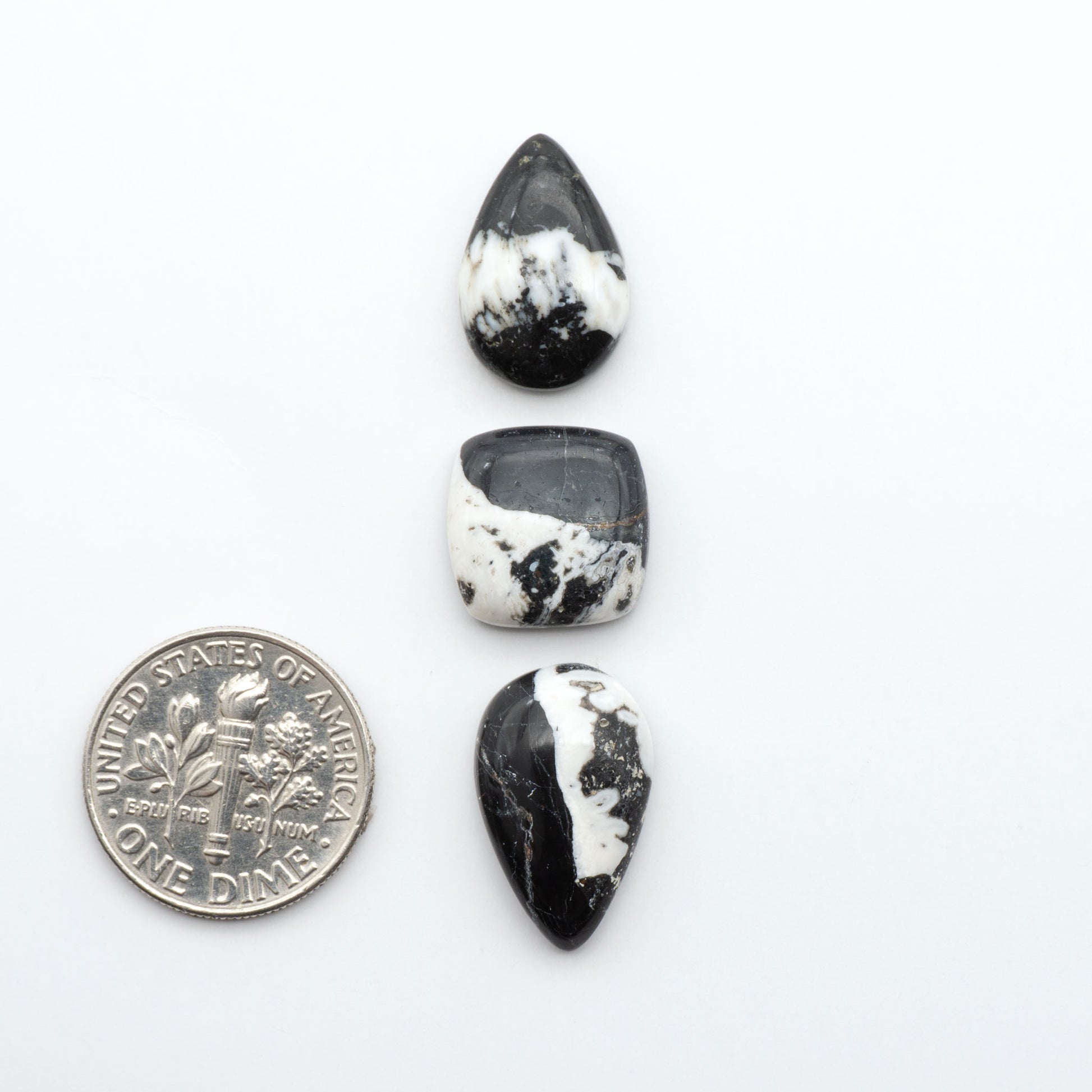 White Buffalo stone cabochons, white stone with black matrix, polished stones on a white background, with a US dime for scale